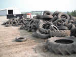 Tires pulled from the river